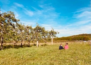 pommes 
poires
vergers
agriculture familiale
aux champs soisy
ile de france
ferme bio
agriculture paysanne
circuits courts
panier de légumes